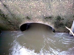 Flood defence 1
