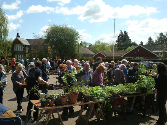 Plant Sale 1