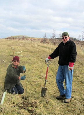 Tree Planting 4