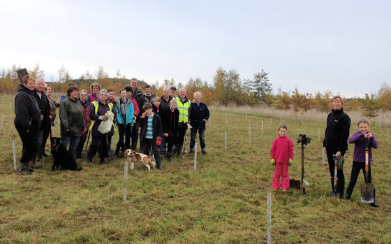 Tree Planting November 2013