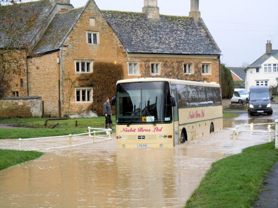 School Bus in the Ford 2