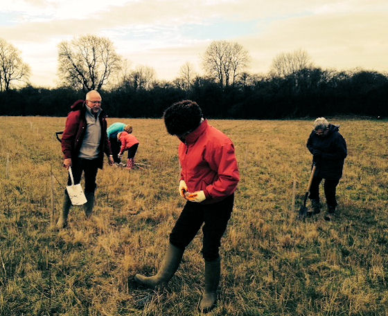 Tree Planting 15th March 2014 #3