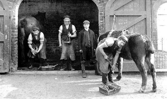 The Forge