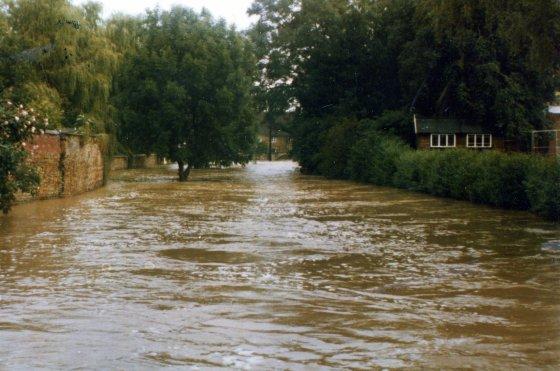 Towpath in flood