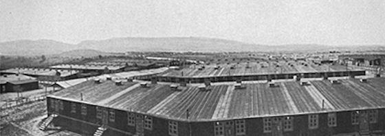 Cassel camp