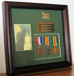 W.J. Aldwinckle Medals
